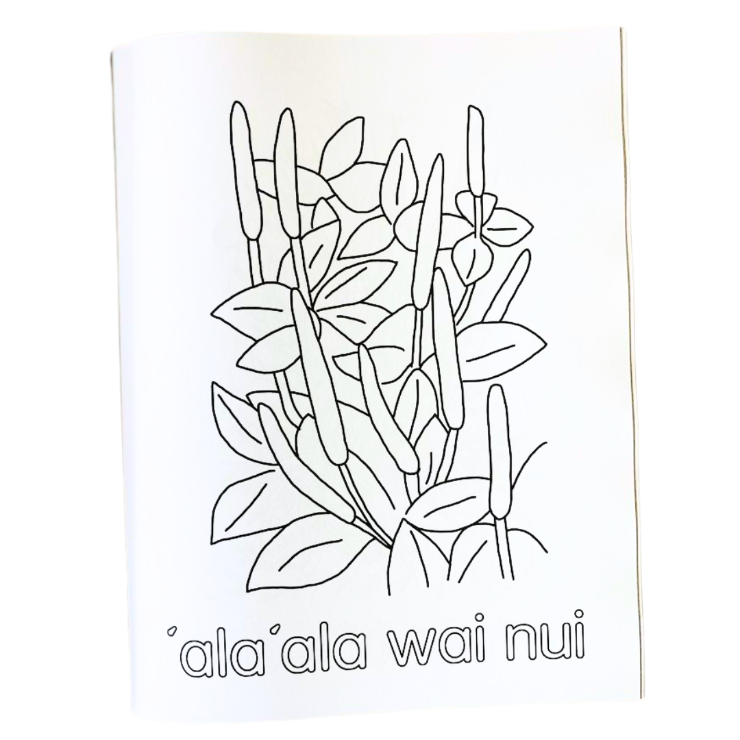 Kumulipo Coloring Book: Wā ʻAkahi
