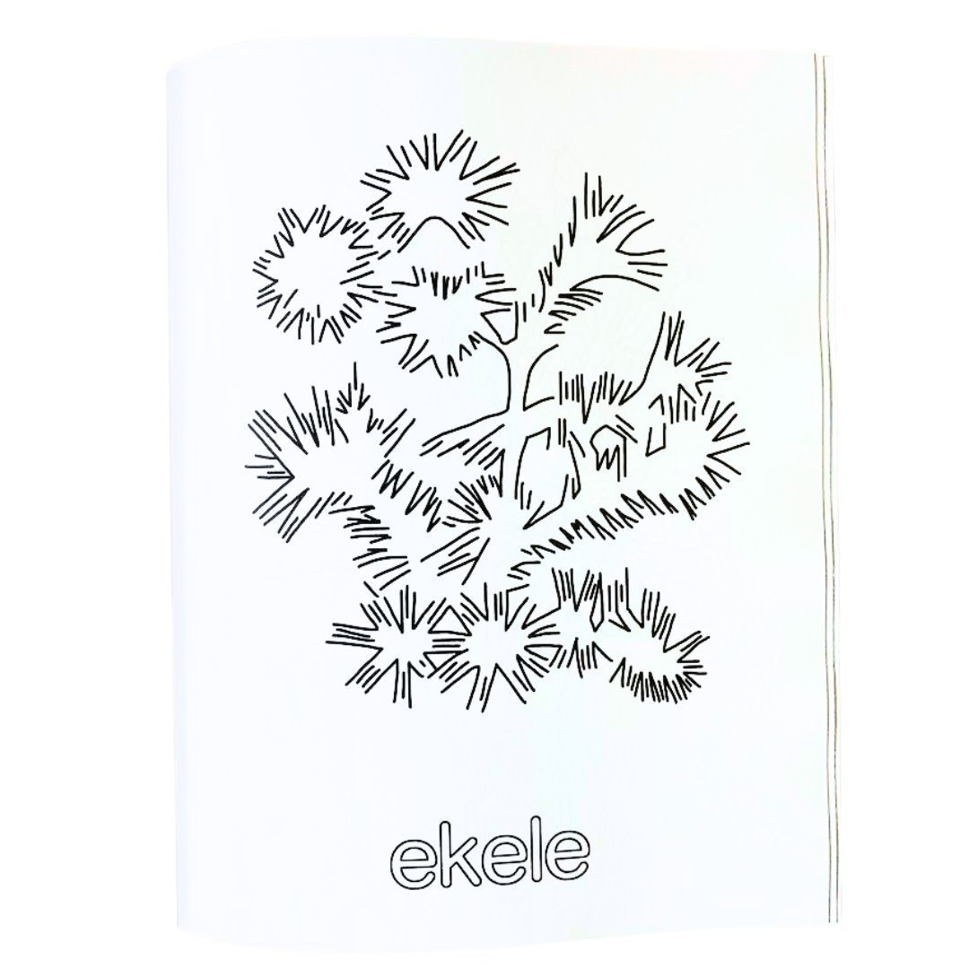 Kumulipo Coloring Book: Wā ʻAkahi