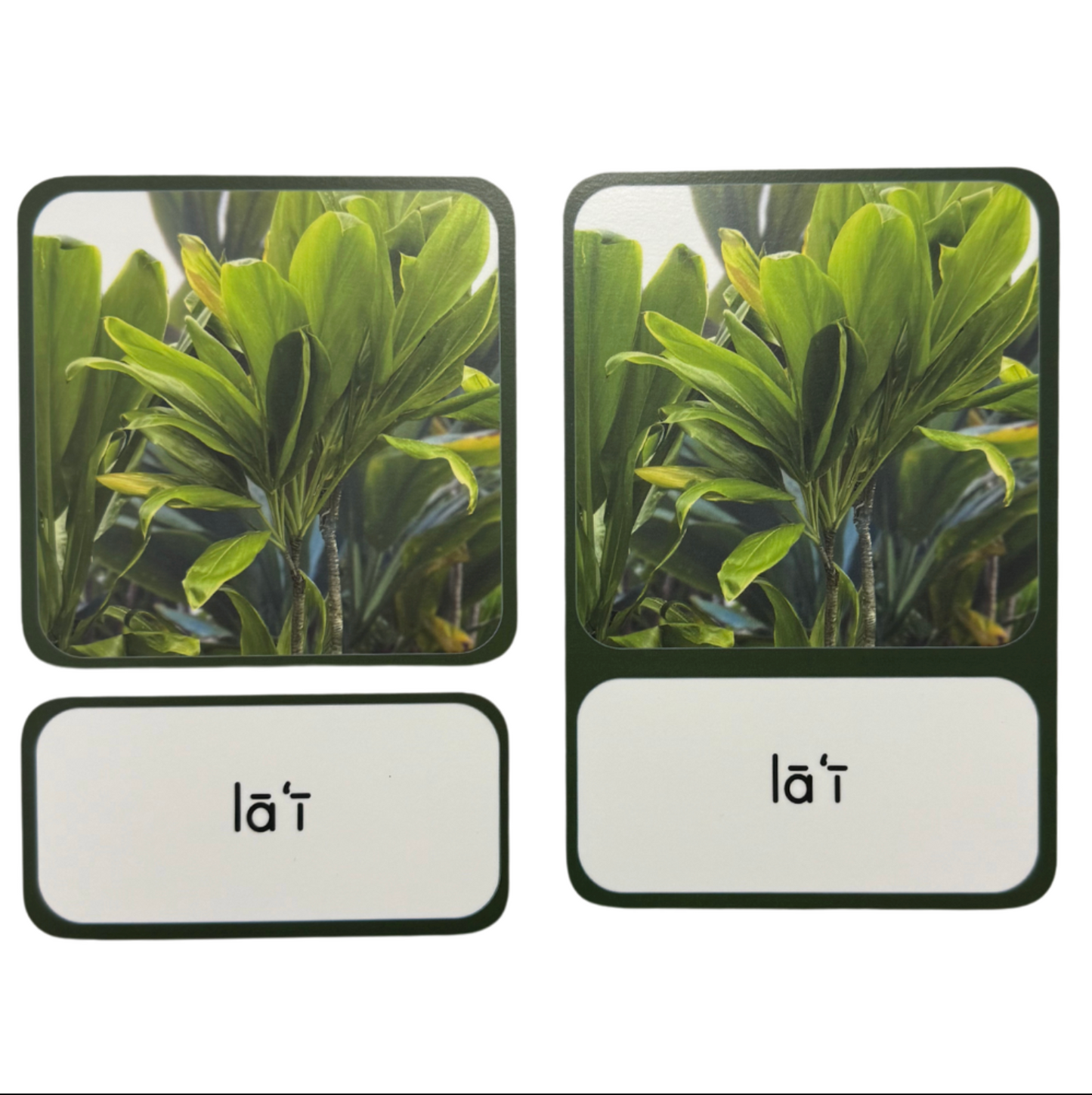 Nā Kāleka Aʻo (Assorted Language Cards)