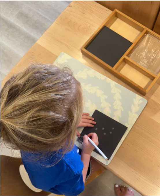 Anakuhi Mahaka  o nā Huihui Hōkū (Constellation Stencils)