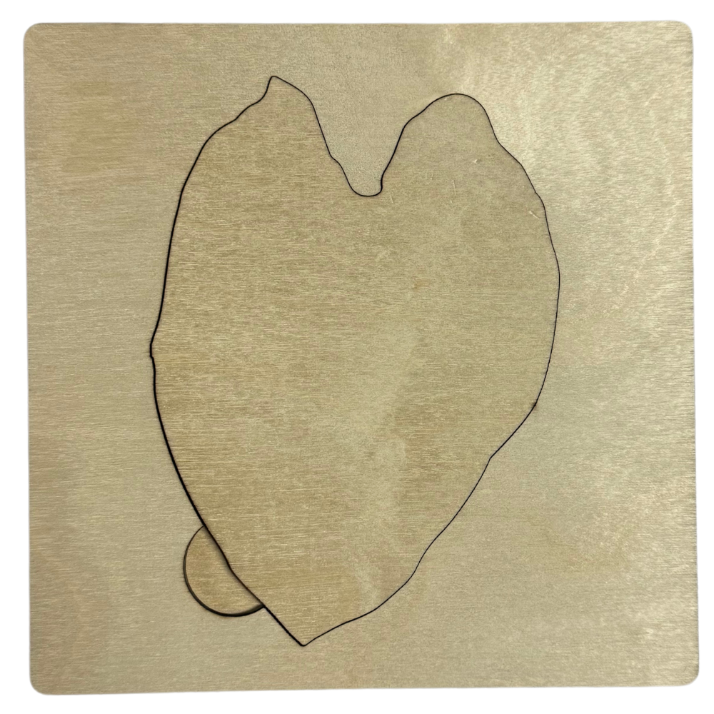 Pahu Waiwai (Resource Box): Lāʻau Lapaʻau