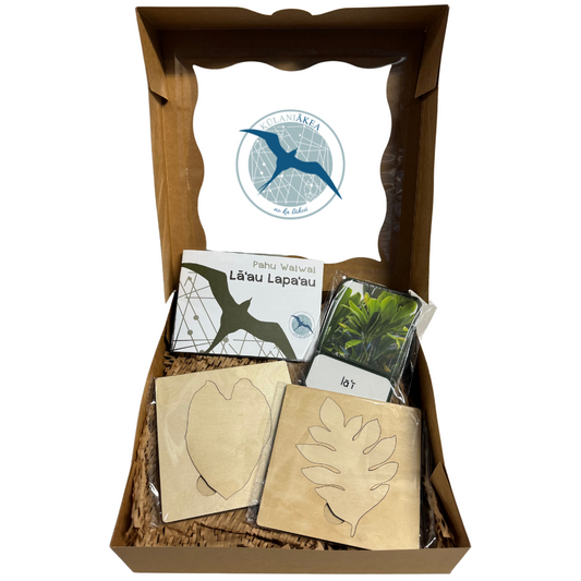 Pahu Waiwai (Resource Box): Lāʻau Lapaʻau