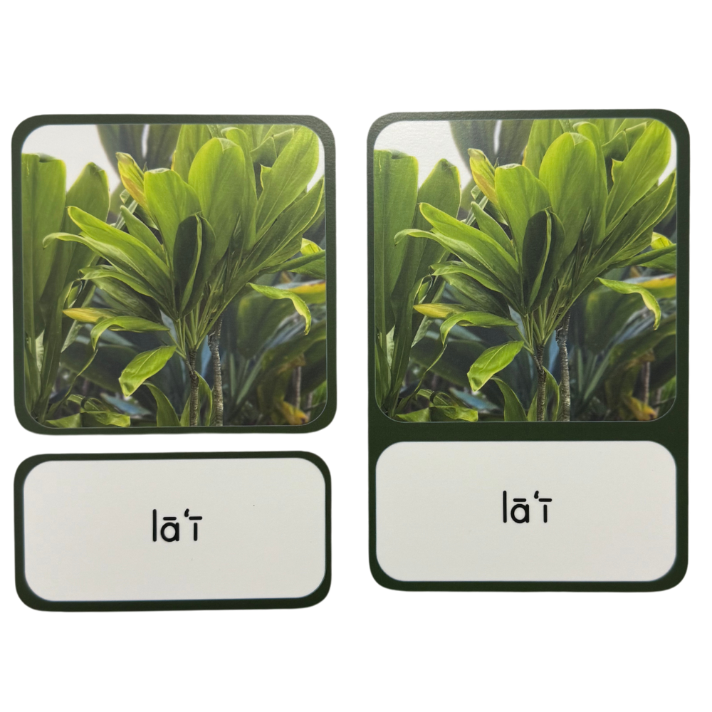 Pahu Waiwai (Resource Box): Lāʻau Lapaʻau