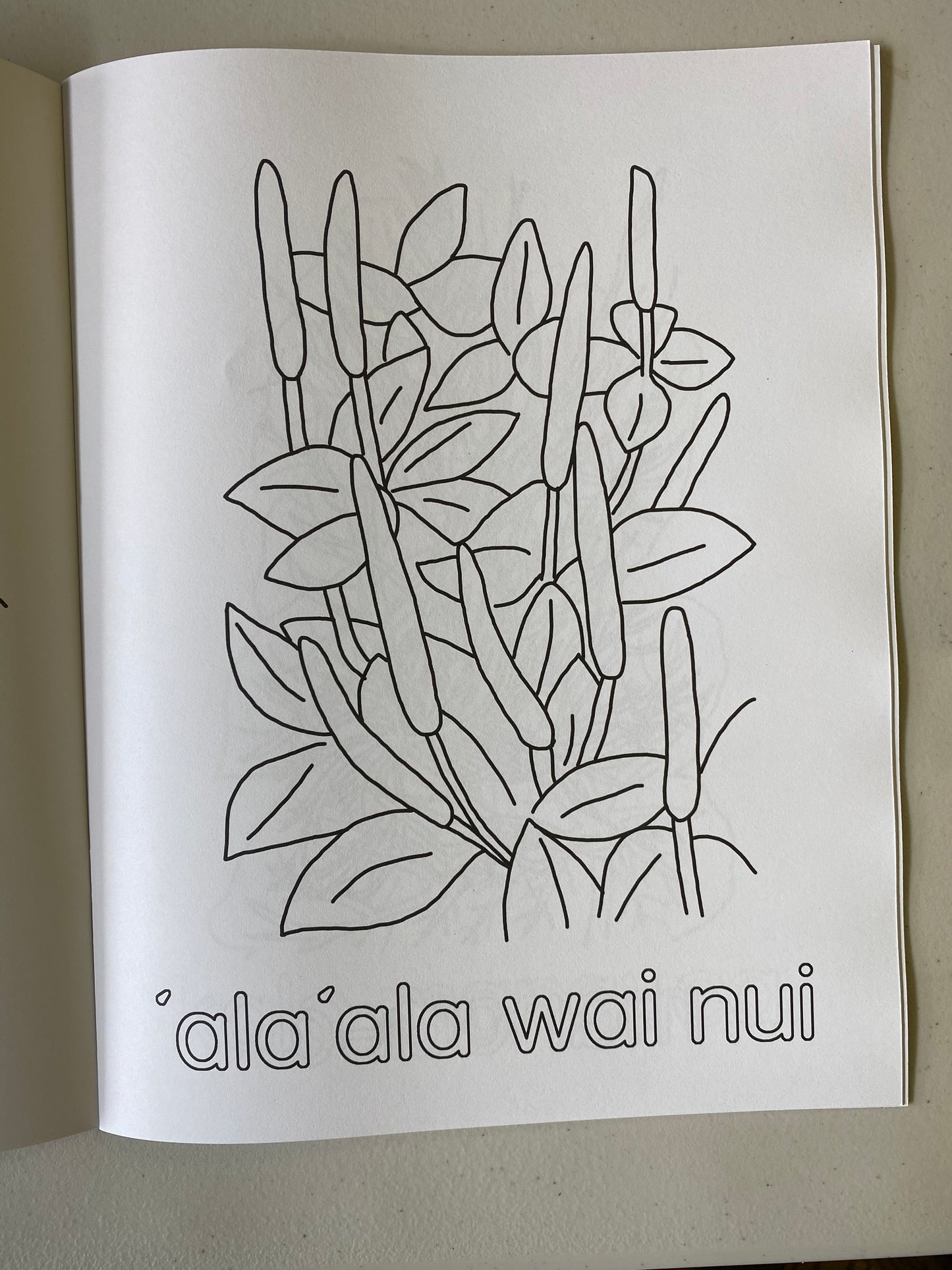 Kumulipo Wā 'Akahi - Coloring Book