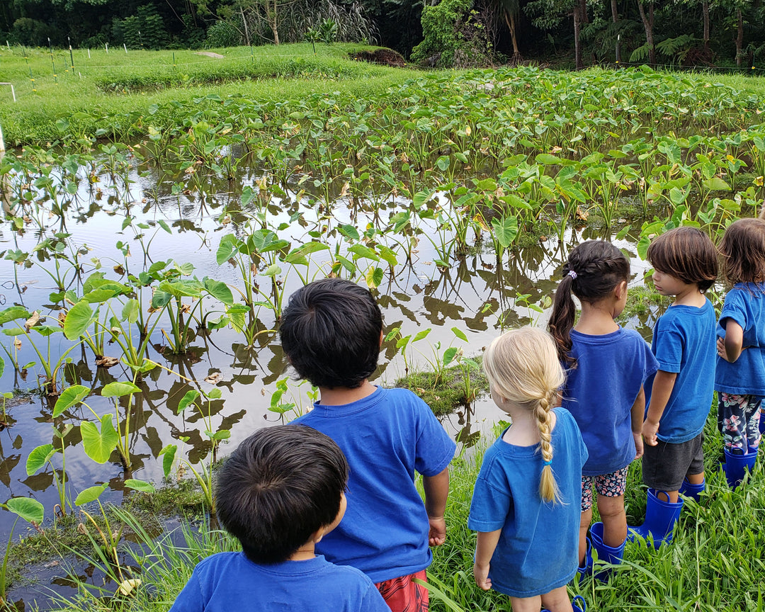 $5 Donation - Kūlaniākea Keiki Scholarship Fund