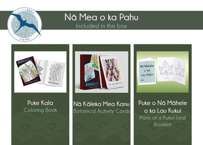 Pahu Waiwai (Resource Box): Kumulipo - Wā ʻAkahi