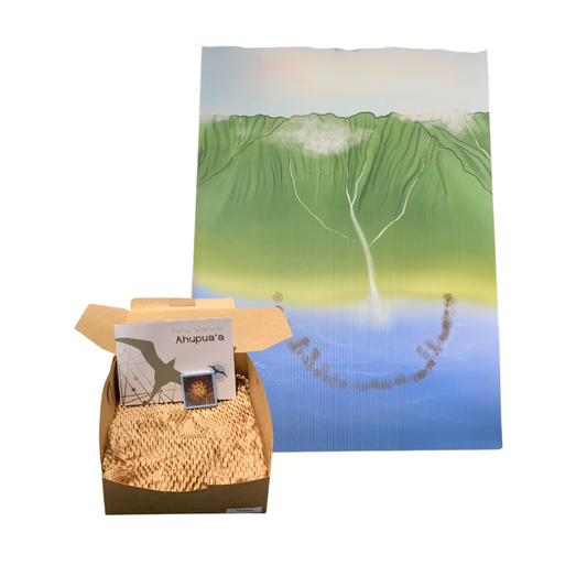 Pahu Waiwai (Resource Box): Ahupuaʻa