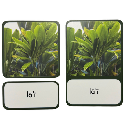 Nā Kāleka Aʻo (Assorted Language Cards)